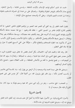 Шарх Мухтасар аль-манар. شرح مختصر المنار