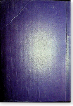 Шарх аль Викая гумда ар-ригая. شرح الوقاية عمدة الرغاية